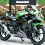 Kawasaki Ninja 300 2026 Returns With Sharper Design And Improved 30 kmpl Mileage For Everyday Sportbike Riders